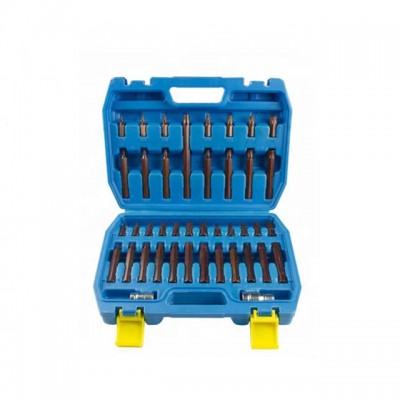 41PC Torx Industrial Bit Set